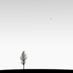 Anthony S. - Crazy About You (9-8-14)