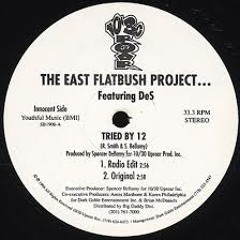 The East Flatbush Project - Tried By 12