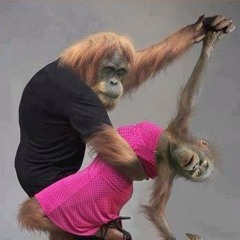 Anta Baghi 9arda new 2014