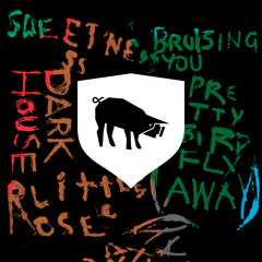 2 Pretty Bird (Fly Away) (Radio Edit)