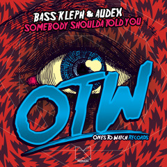 Bass Kleph & Audex - Somebody Shoulda Told You (Preview)