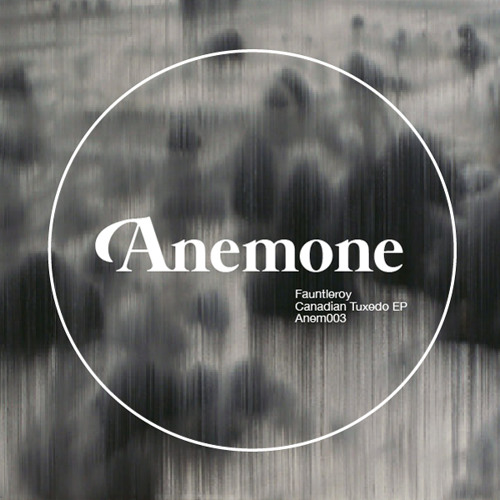 Fauntleroy - Canadian Tuxedo - Mike Dehnert Remix - Anemone Recordings