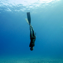 Ocean Gaya