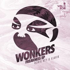 Wonkers - Freak In Me (Rey & Kjavik Remix)