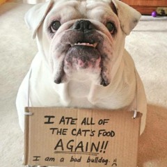 Roboto Rock (Victor Ruiz Bootleg).Daft Punk