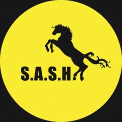 Funk D'Void at Sash Sunday Sydney Australia, last party at Abercrombie Venue, Summer 2014