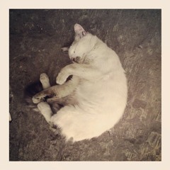 Iseng ngecover first breath after coma versi setengah