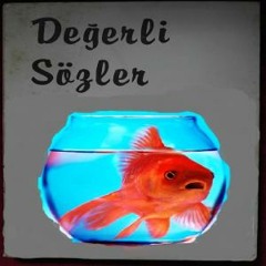 Değerli Sözler (Wang Yu Mix)