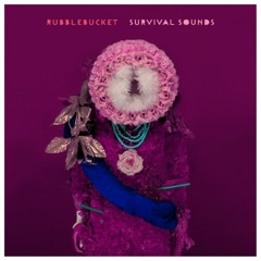 Rubblebucket- Sound Of Erasing (Chrome Sparks Remix)
