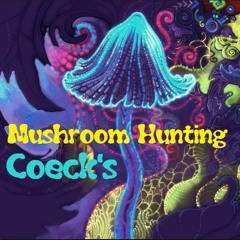Mushroom Hunting (Original Mix)