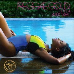 Reggae Gold 2014 Mixtape - Nikki Z