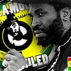 Indeo Irie Meets Eek A Mouse - Wild Like A Tiger( steppaz remix )