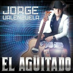 ☆Jorge Valenzuela - El Aguitado ☆