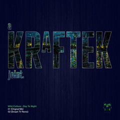 Wild Culture - Day To Night (Original Mix) [Kraftek]