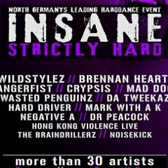 THE VINYLRAIDER´S INSANE - STRICLY HARD PROMO MIXTAPE