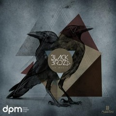 BlackBirdz - You Dont Love Me (Original Mix)