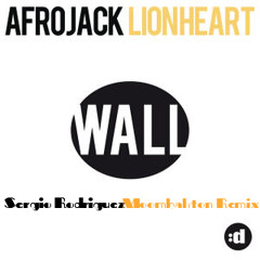 Afrojack - Lionheart (Sergio Rodriguez Moombahton Remix)