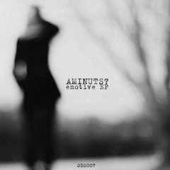 Outsiders 007: aminuts? - emotive [EP]
