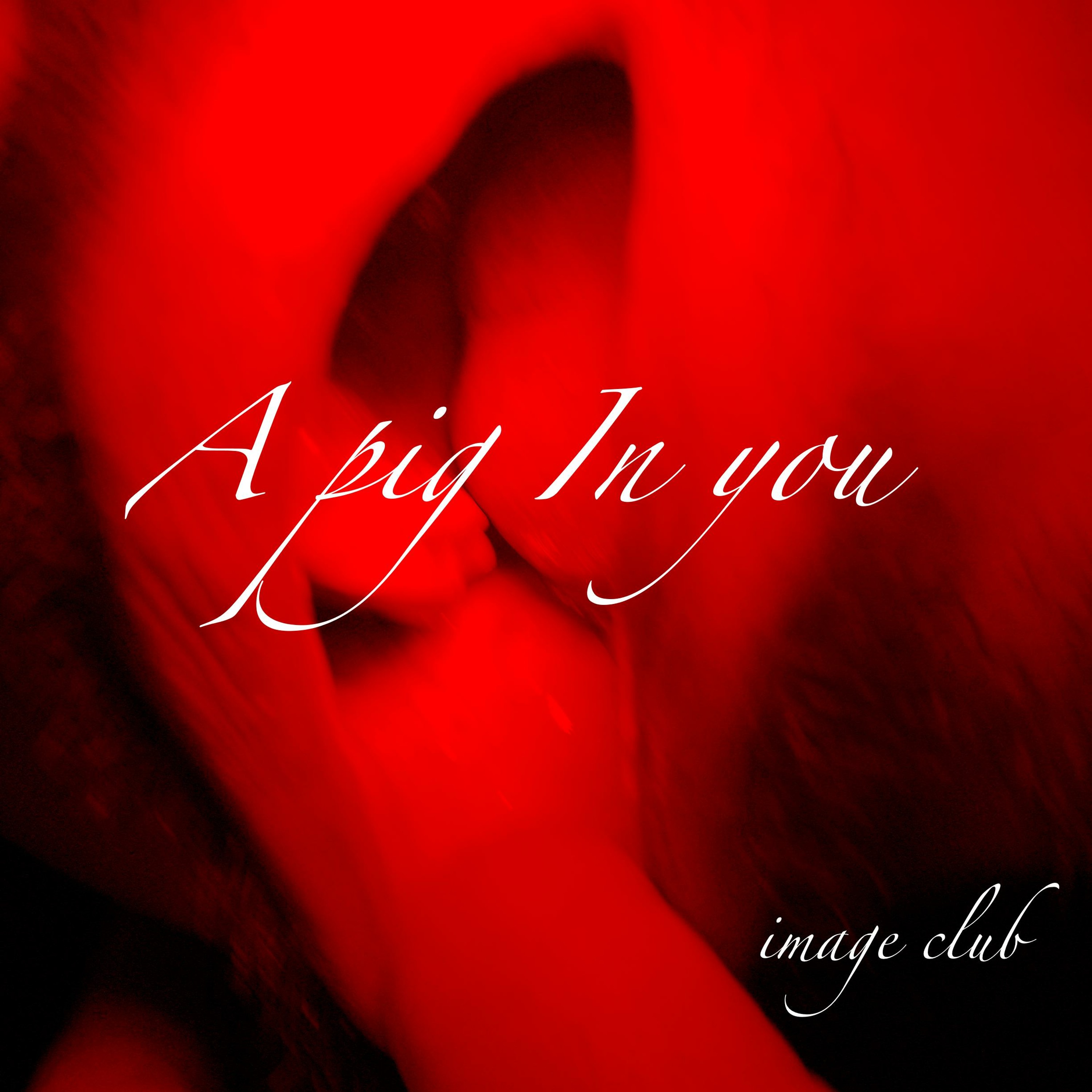 A pig In you episode artwork