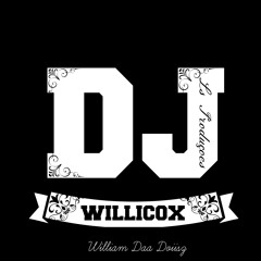 Ls Produções- Patagoloiza MIX - Dj WilliCox 2014
