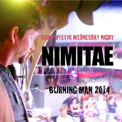 Burning Man 2014, Camp Mystic Wednesday Night Set