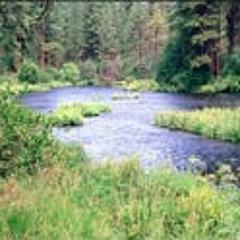 Rivers of Babylon cover (with Grant Davis)