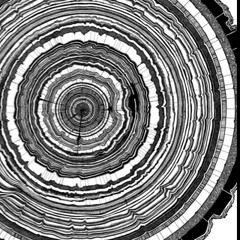 Leaving On A Jet Plane Cover Dedicated To My Ring Finger Nail That Have Just Gone Away