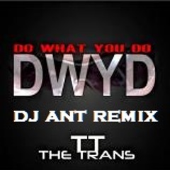 Dj Trans(@Djtrans) - Do What U Do | Lifestyle (Mashup) (@DjANT863 Remix)