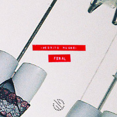 Feral / Marvin Marlyn Remix