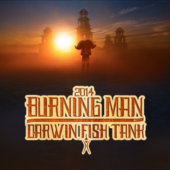 Burning Man 2014:  Darwin Fish Tank