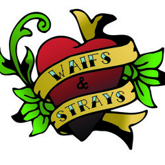 Waifs & Strays - Just don't Know