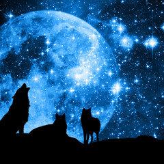 The Wolf (instrumental)