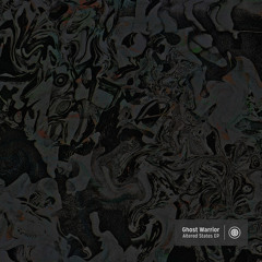 Ghost Warrior - Altered States