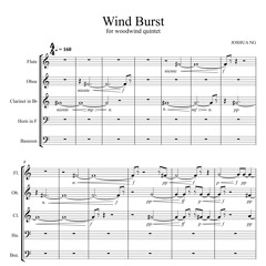Wind Burst for woodwind quintet (2012)