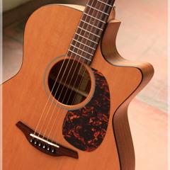 ขอจันทร์ : ตุ๊ก วิยะดา [ FingerStyle by Furch G 20-CM ]