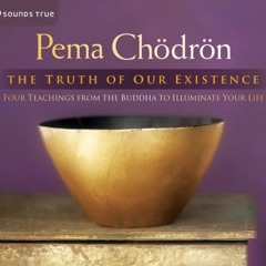 The Truth Of Our Existence Sample by Pema Chodron