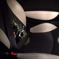 Steal My Sunshine - Len Cover