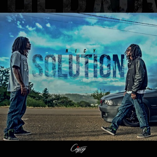 Nicy  Solution  2014