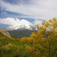 Iranian sonnati Bijani Shajarian Homayoun