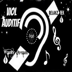 Viol Auditif FINAL (Feat WantyDream)