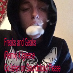 Freaks and Geaks (Remix)
