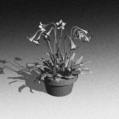 Ejecta - Silver (North Americans Remix)