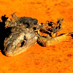 Second to Nun - C.T.U