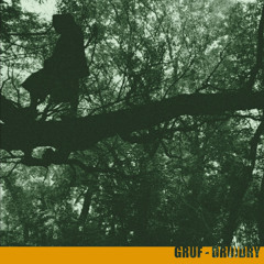 Gruf The Druid - The Owl