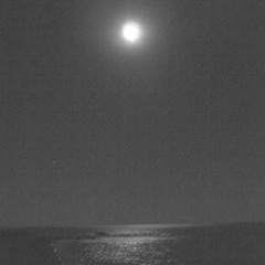 Songs Of The Moon I. Moon Over Pyrus Blossom (Kai-Young Chan)