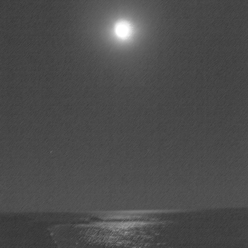 Songs Of The Moon I. Moon Over Pyrus Blossom (Kai-Young Chan)