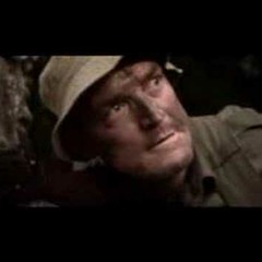 the herd - The Sum Of It All