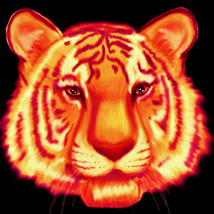 Paradise White (Riff Raff Type Beat) *SOLD*