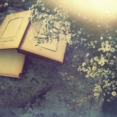 Thoi Gian Co Giu Duoc Gi