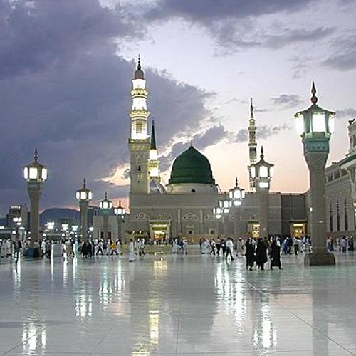 ودانية عليهم ظلالها